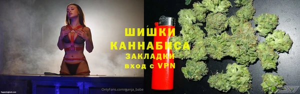 ПСИЛОЦИБИНОВЫЕ ГРИБЫ Волосово