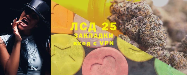 ПСИЛОЦИБИНОВЫЕ ГРИБЫ Волосово