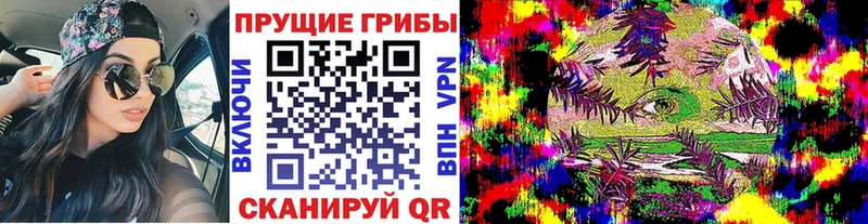 Галлюциногенные грибы ЛСД  Жуков 